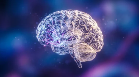 Représentation abstraite de la rééducation cérébrale face à la douleur nociplastique, avec des connexions neuronales colorées