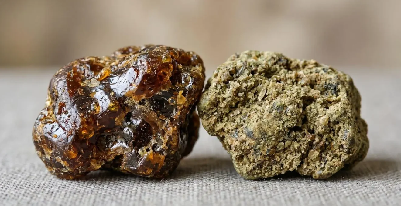 Gros plan sur deux morceaux de propolis, brune et verte, posés sur surface naturelle